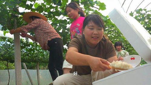 夜里挑灯吃瓜,揭秘深夜“吃瓜”文化现象