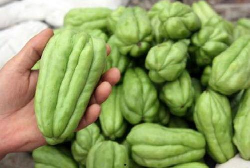 佛手瓜可以一个人吃吗,单人食用的健康美味选择