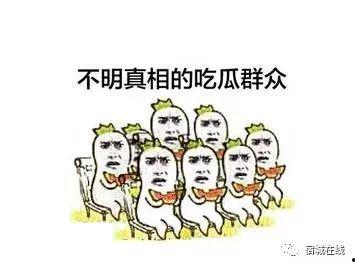 有关吃瓜的群众,吃瓜群众视角下的娱乐圈风云录