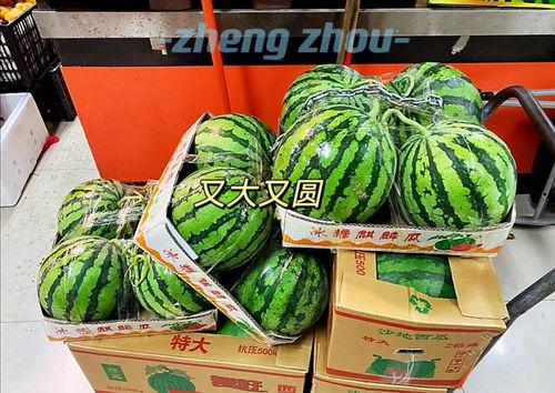 郑州地产圈吃瓜,揭秘幕后吃瓜大事件