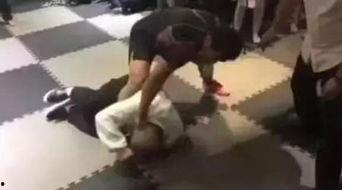 耍太极吃瓜视频,一场悠闲的视觉盛宴