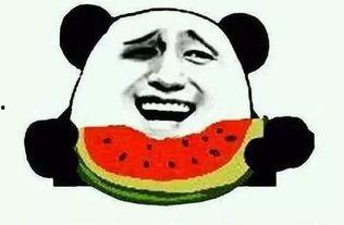 感情吃瓜,一场关于爱与八卦的甜蜜盛宴