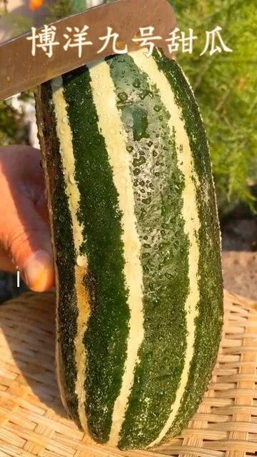 吃瓜都去哪里吃,揭秘“吃瓜族”的聚集地