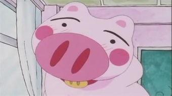 晴天小猪吃瓜,晴天小猪的甜蜜瓜果时光