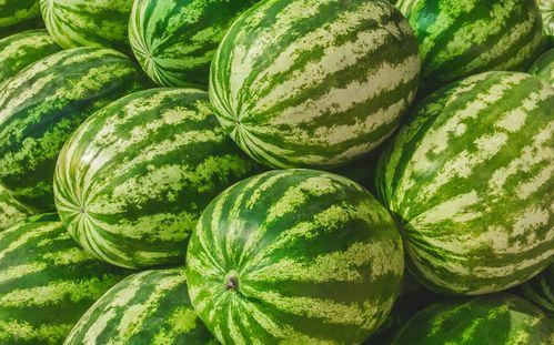 庄河吃瓜75万,75万斤瓜果盛宴，全民共享夏日清凉