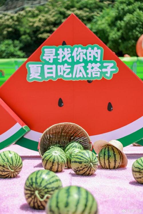 吃瓜搭子视频,短视频中的社交新潮流