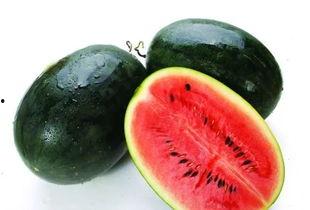 吃冰块大蜜瓜视频,揭秘吃冰块大蜜瓜的独特魅力