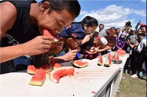 吃瓜趣味游戏,揭秘吃瓜趣味游戏的欢乐时光