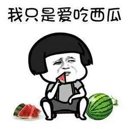 吃瓜第一线是表示什么,揭秘娱乐圈幕后真相