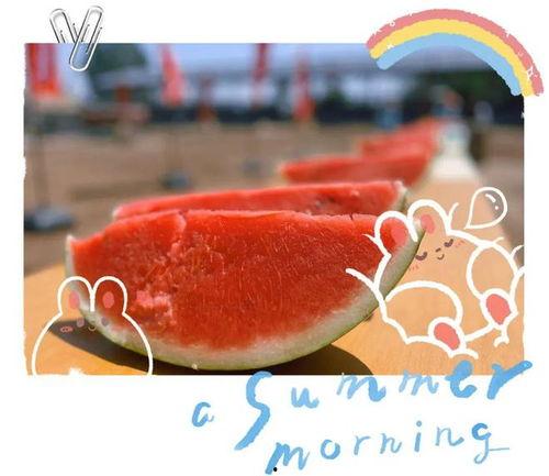 大型爆料现场欢迎吃瓜,全民吃瓜，揭秘娱乐圈风云