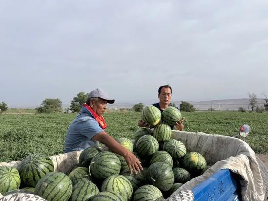 英区留学吃瓜,揭秘留学生活中的“吃瓜”瞬间