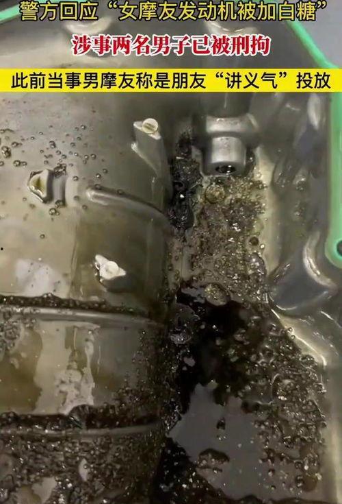 女骑士吃瓜,一场甜蜜的冒险之旅