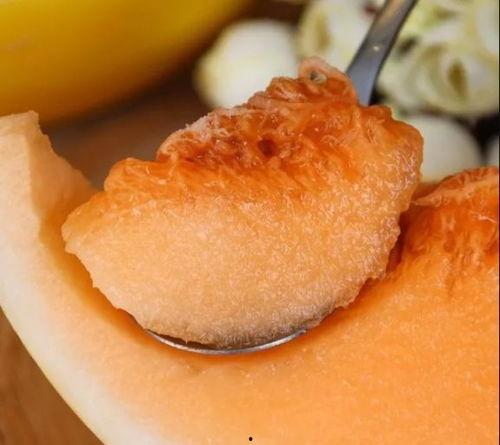 黄金蜜瓜孕妇可以吃吗