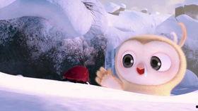 吃瓜失败比赛视频搞笑,吃瓜失败大赛，笑料百出！