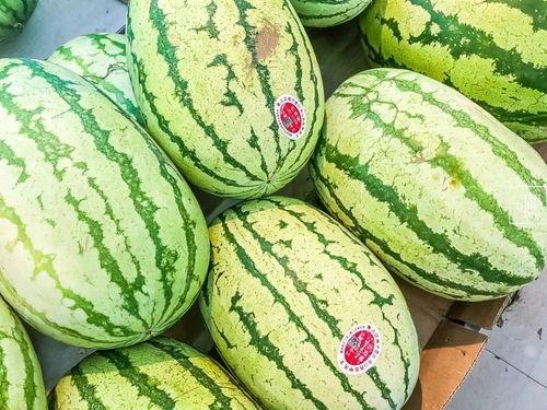 吃金砂瓜上火吗,揭秘吃金砂瓜是否会引发上火问题