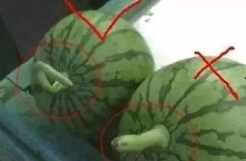 落叶哥教你吃瓜,揭秘娱乐圈那些事儿