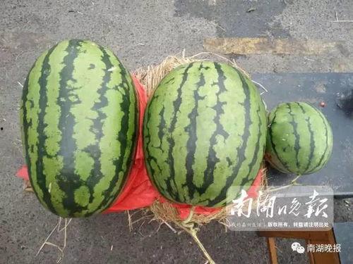 瓜李吃瓜,揭秘娱乐圈那些不为人知的幕后故事