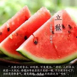 立秋什么时辰吃瓜,揭秘最佳时辰品尝瓜果的奥秘