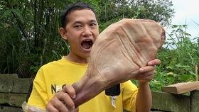 刘大瓜吃卤,舌尖上的美食之旅