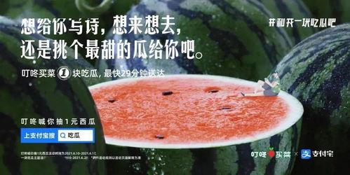 吃瓜拍照片文案,记录生活点滴