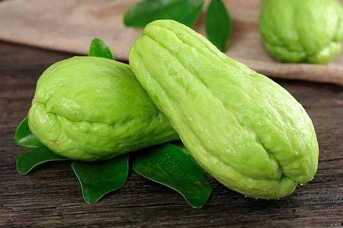 仙桃职院吃瓜,揭秘校园热点背后的真相