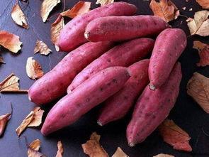 吃瓜吃的肚子难受,揭秘吃瓜引发的“消化危机”