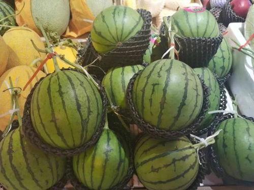 宝贝吃瓜好甜,甜蜜滋味尽在其中