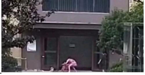 赣榆售楼吃瓜事件始末,一场闹剧背后的真相与反思